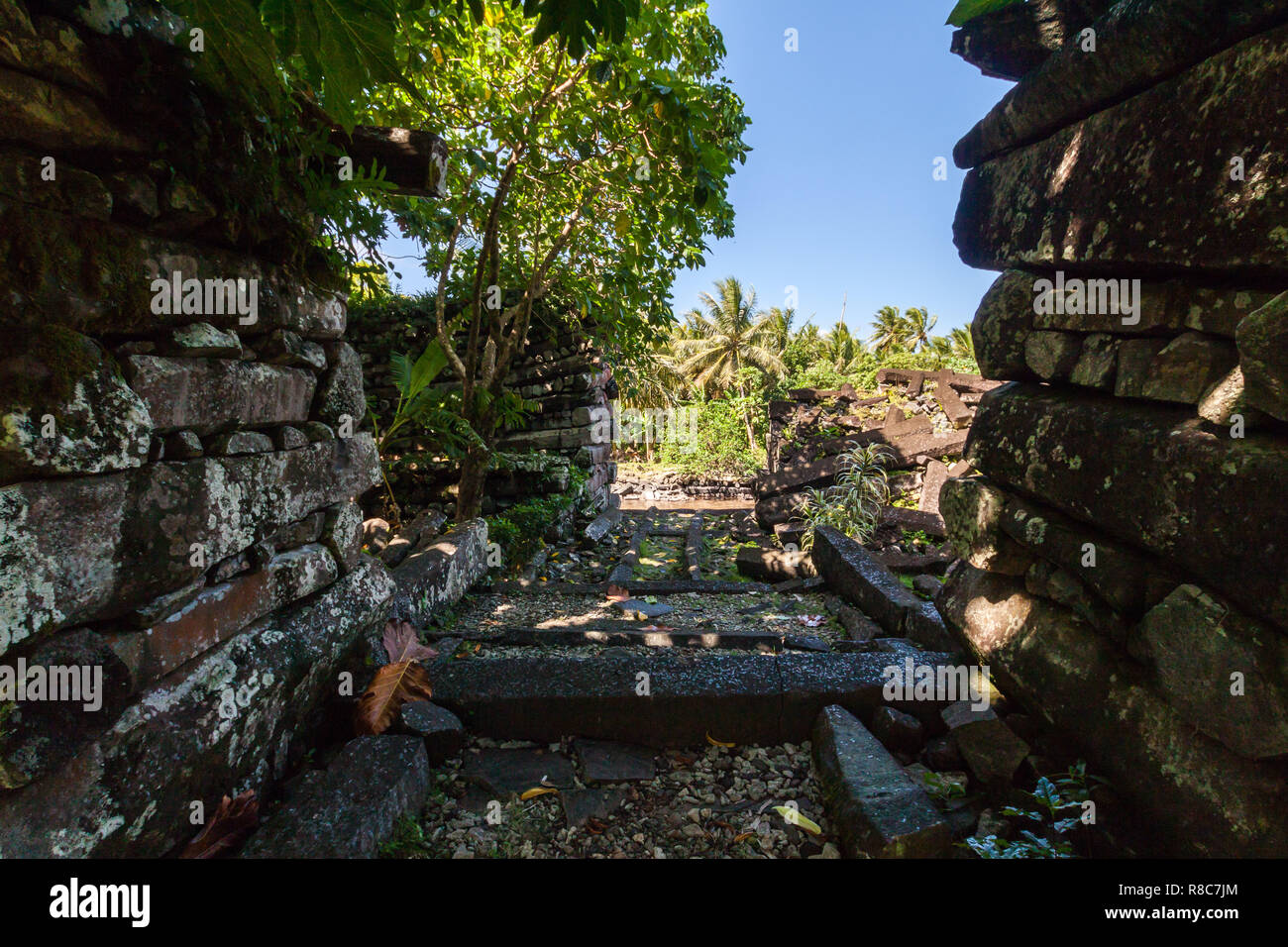View out of the walls of Nandouwas fortress of Nan Madol - prehistoric ruined stone city built of basalt slabs on islands and canals, overgrown with p Stock Photo