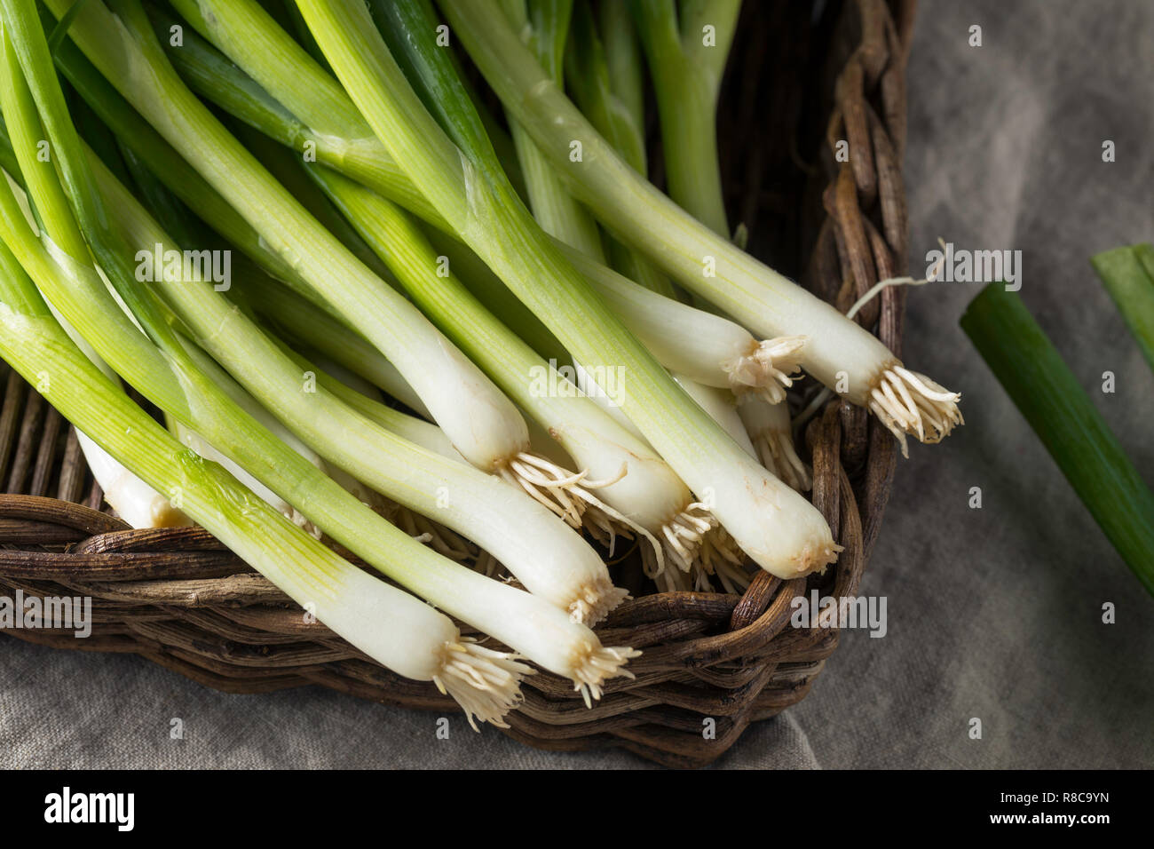 Raw Organic Green Onions in a Bunch Stock Photo - Alamy