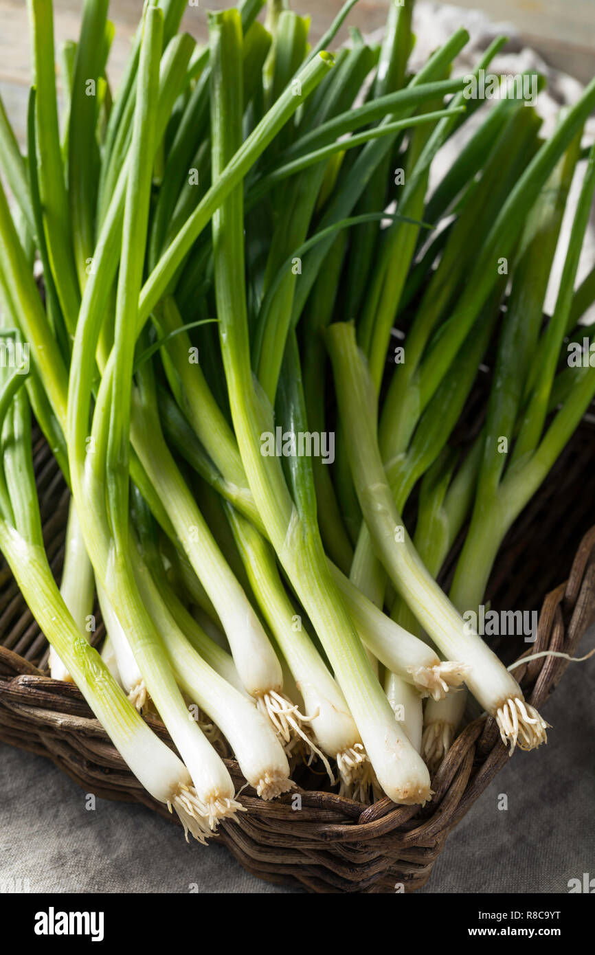 Raw Organic Green Onions in a Bunch Stock Photo - Alamy