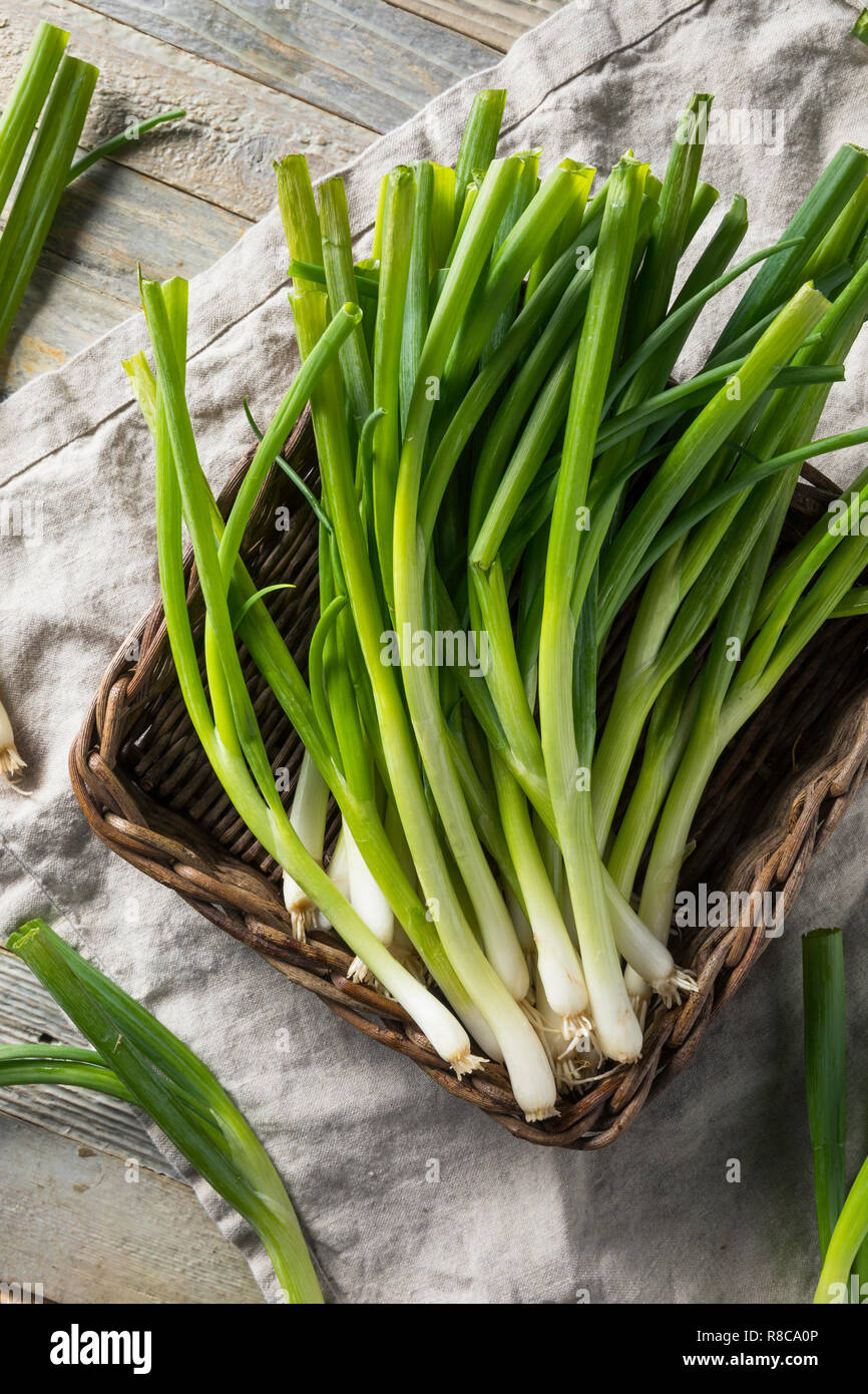 Raw Organic Green Onions in a Bunch Stock Photo - Alamy