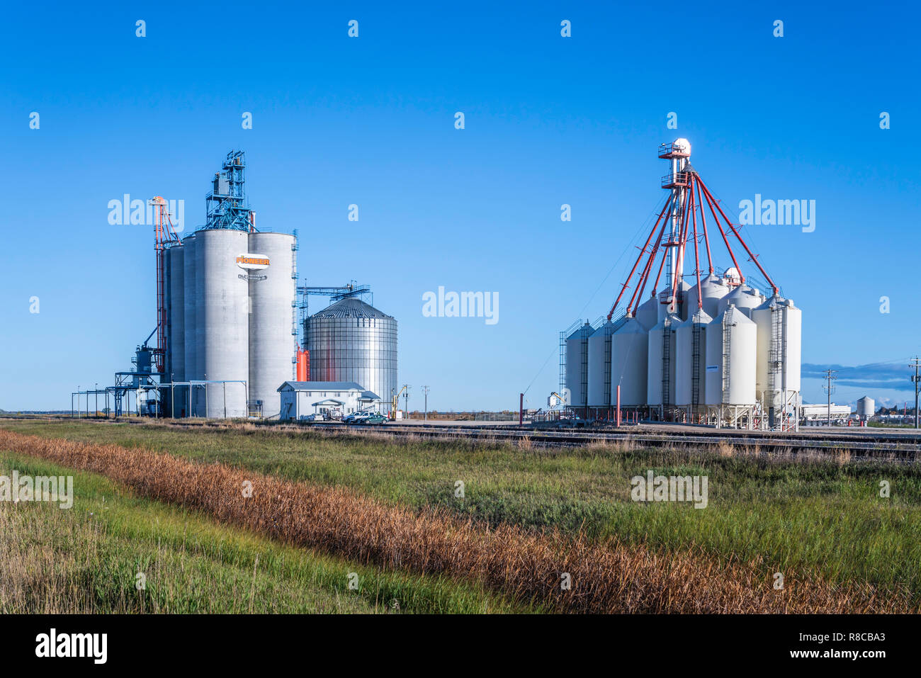 The Richardson Pioneer Grain, Dundonald inland grain handling facility near Westbourne, Manitoba, Canada. Stock Photo