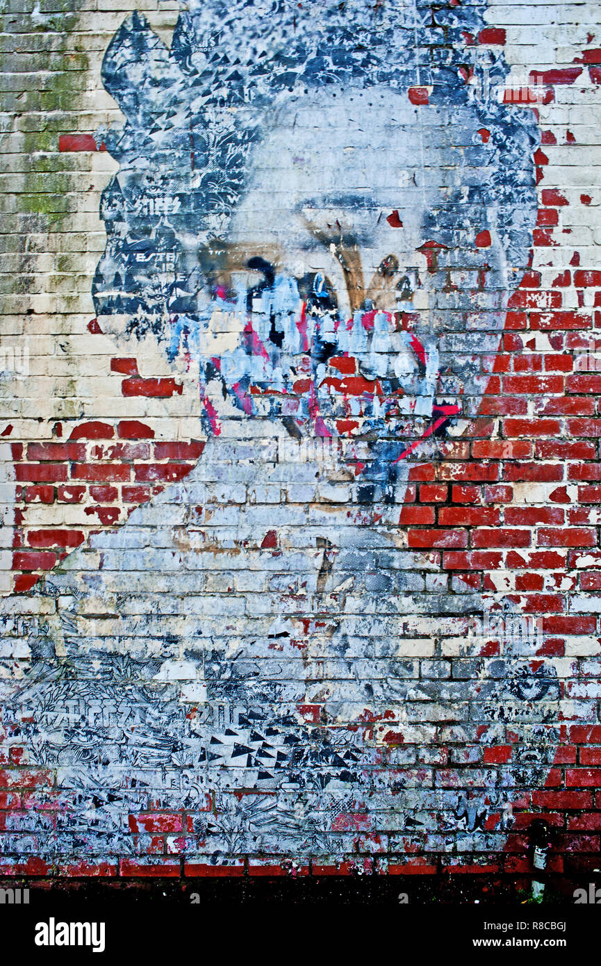 Street Art, The Queen an brick wall, Lime street, Walker, Newcastle