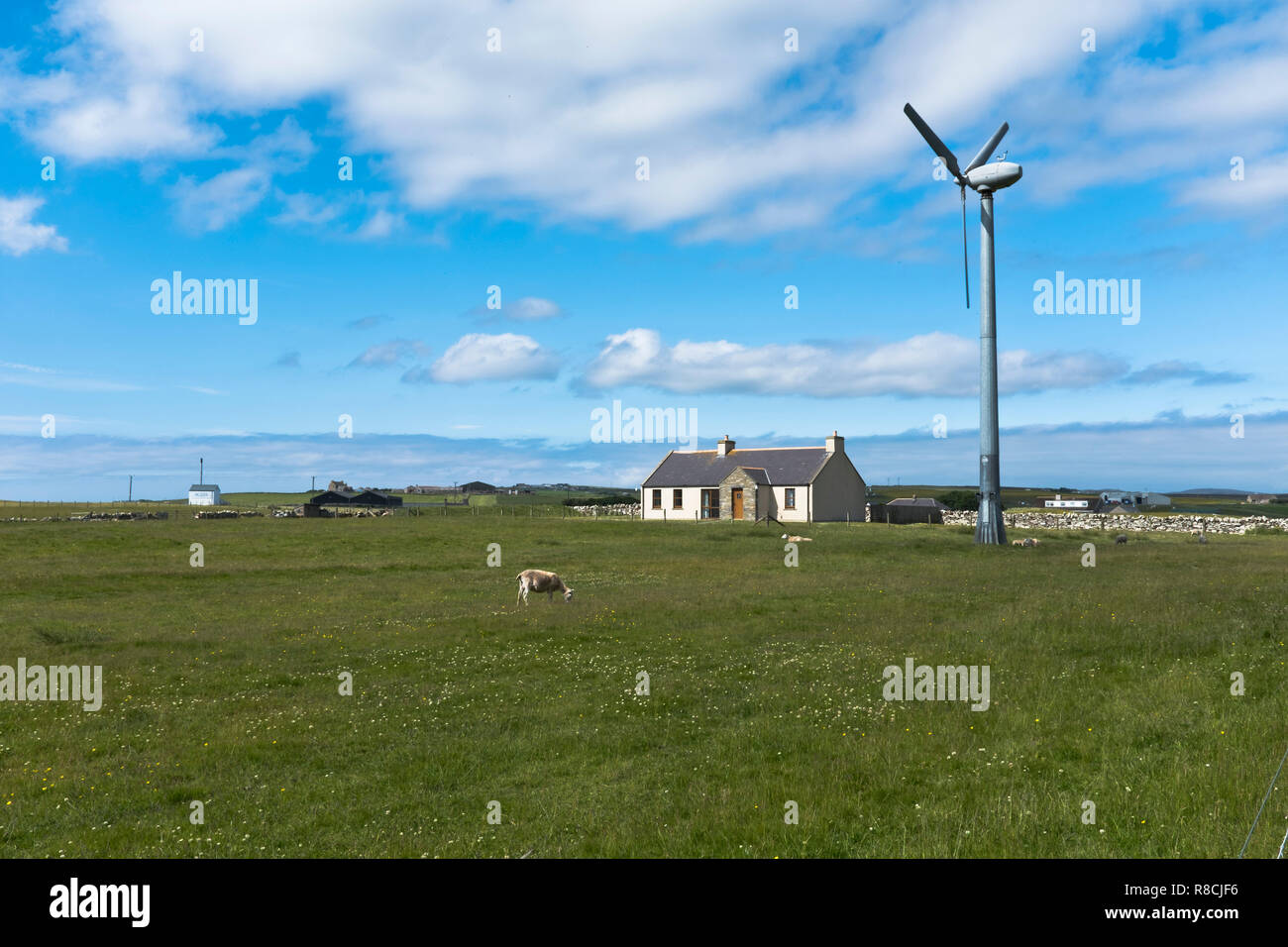 dh Wind turbine House RENEWABLES UK Windturbine cottage Orkney Scotland home power wind energy houses Stock Photo
