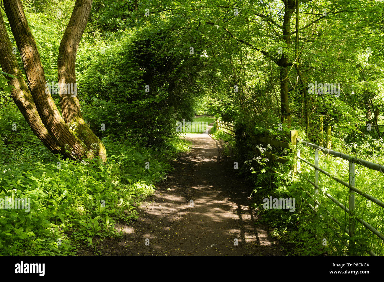 A bucolic scene on Joseph Arch Way, a footpath joining the two central