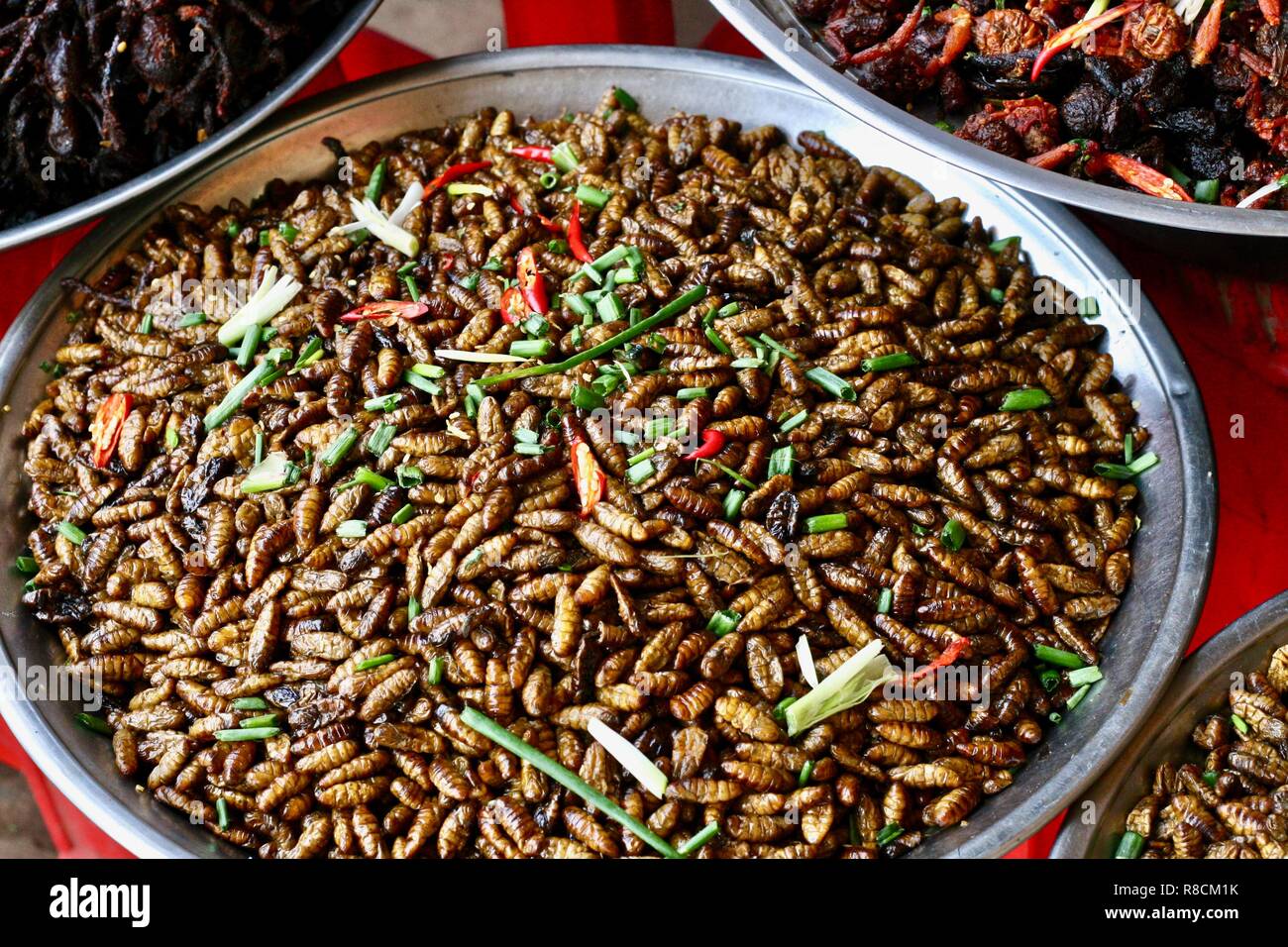 Deep fried silkworms among other insects as a street food in Spider Town Cambodia for sale as snacks Stock Photo