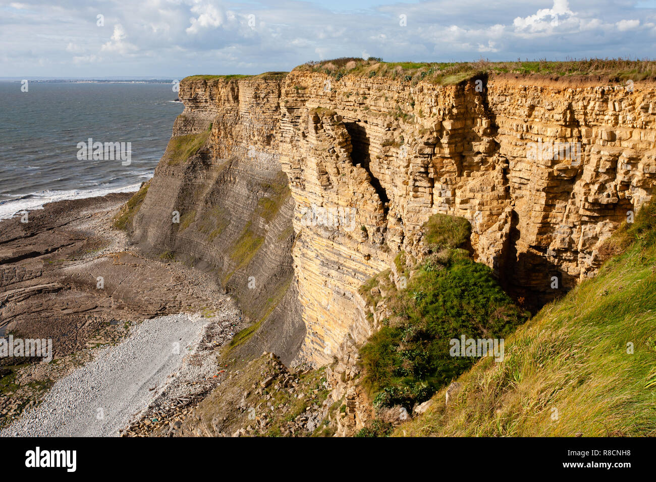 Unstable cliff face about to collapse in Jurassic lias limestone cliffs of the Glamorgan Heritage Coast in South Wales UK Stock Photo