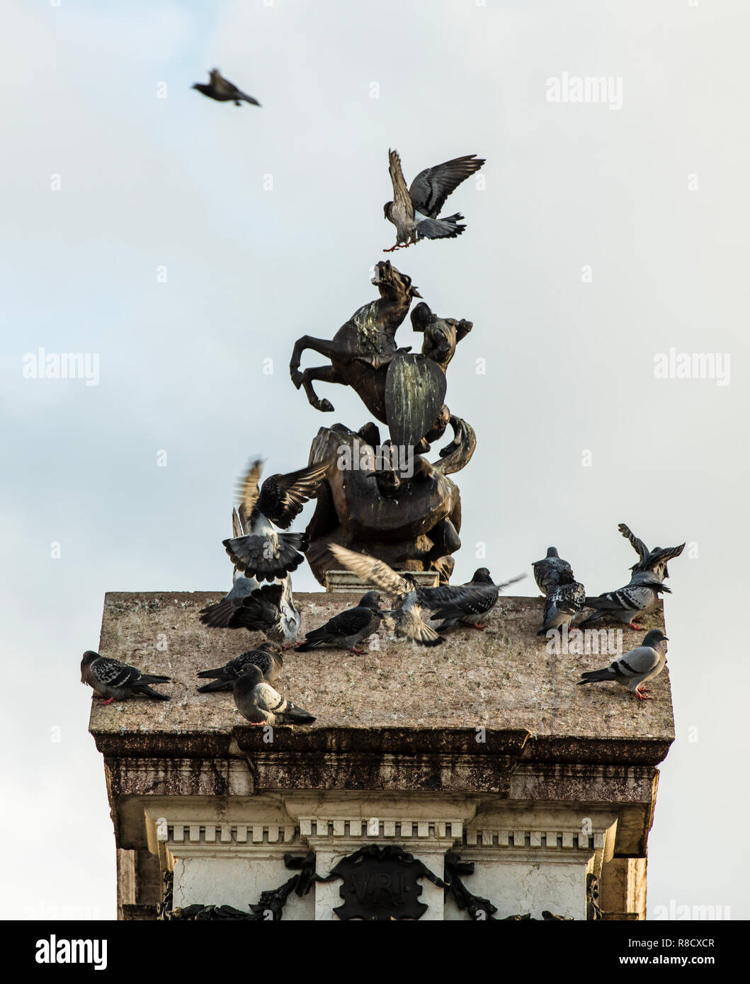 Statue of horse appearing to bite birds landing on it Stock Photo