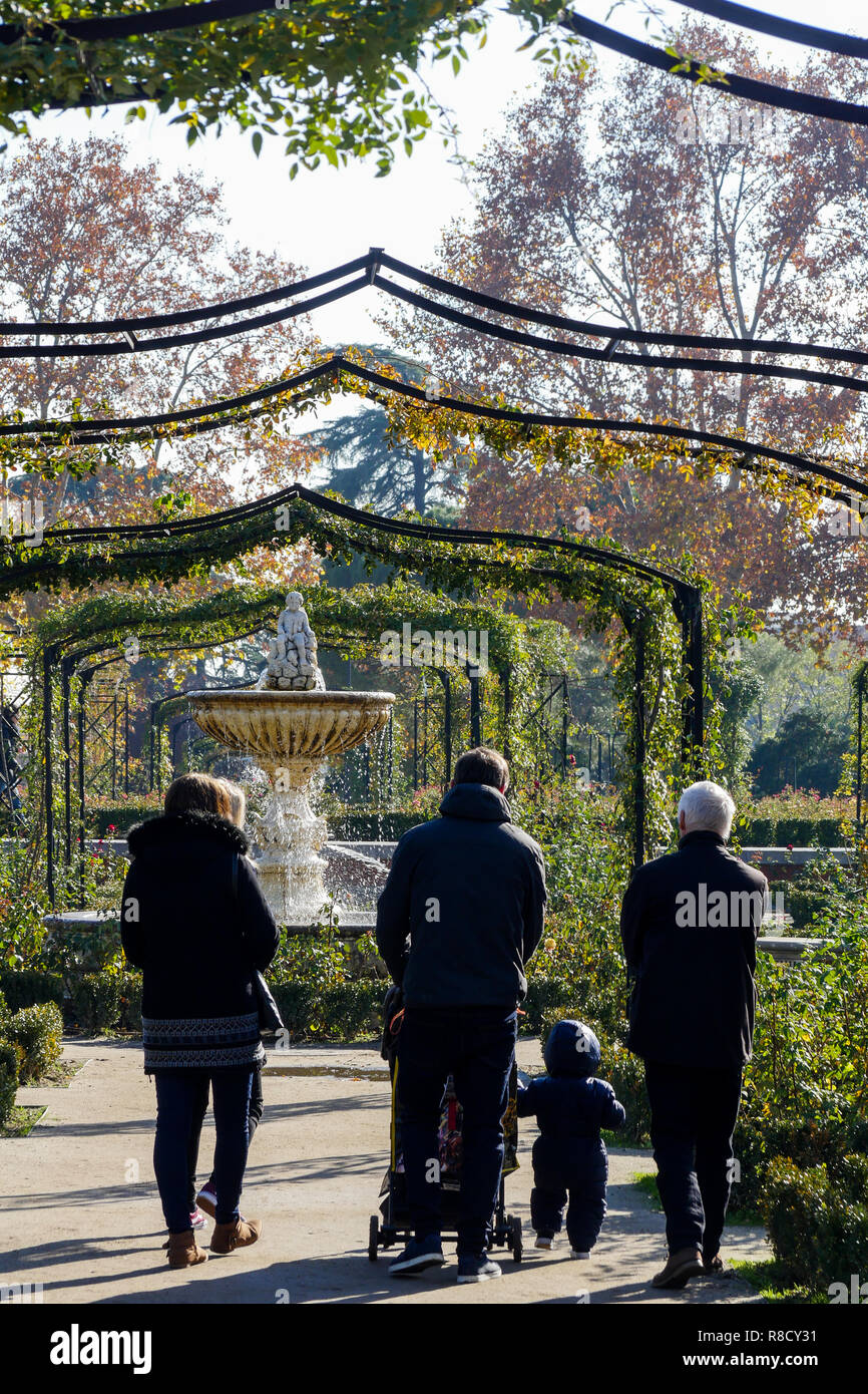 Rose garden, Retiro Park - Parque del Retiro, Madrid, Spain Stock Photo
