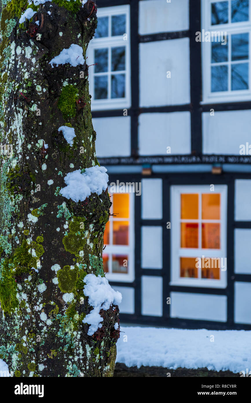 Tree trunk overgrown with moss on the left and a blurred house facade of a half-timbered house with illuminated windows in the background Stock Photo