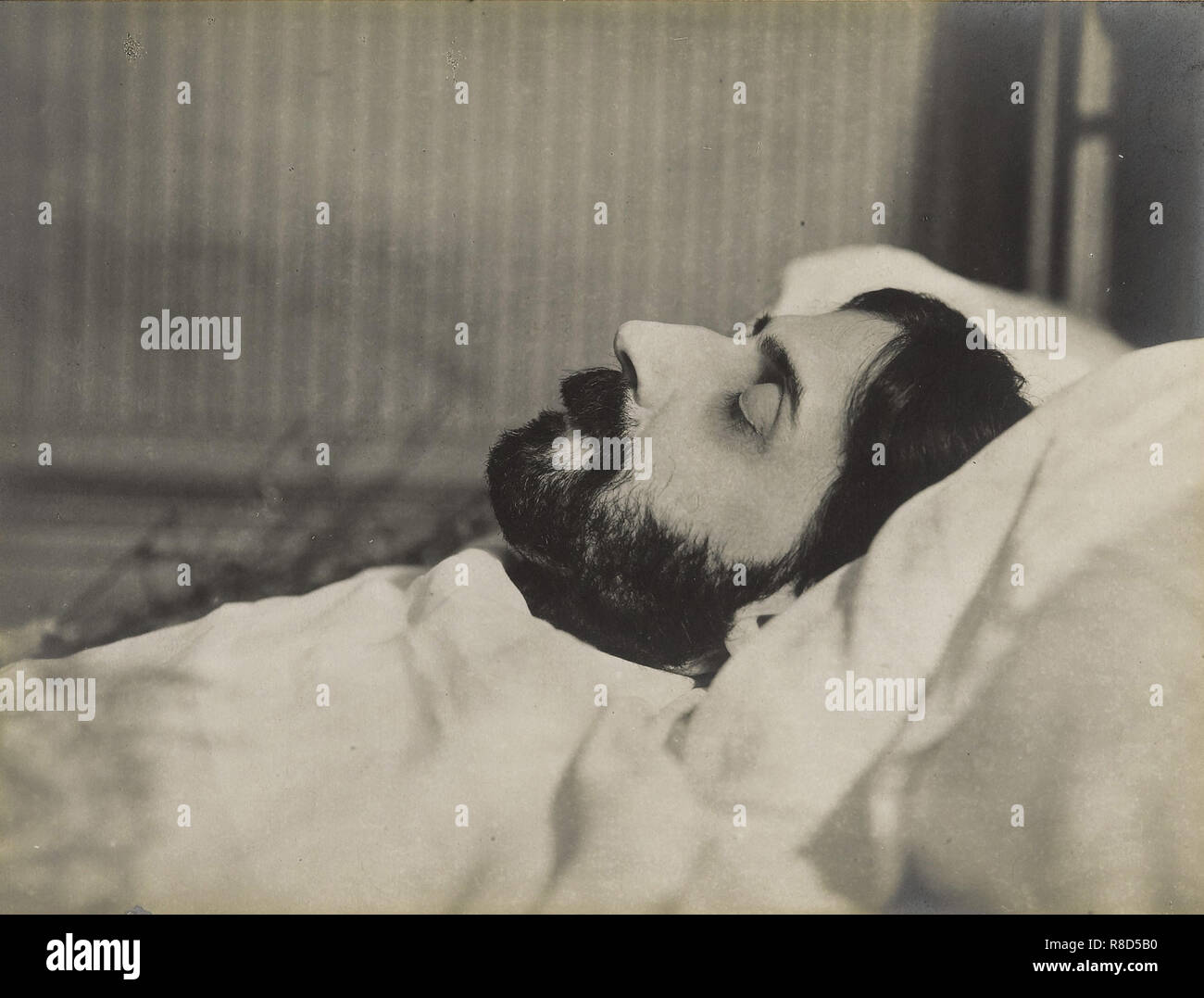 alamy stock photo proust alamy stock photo proust