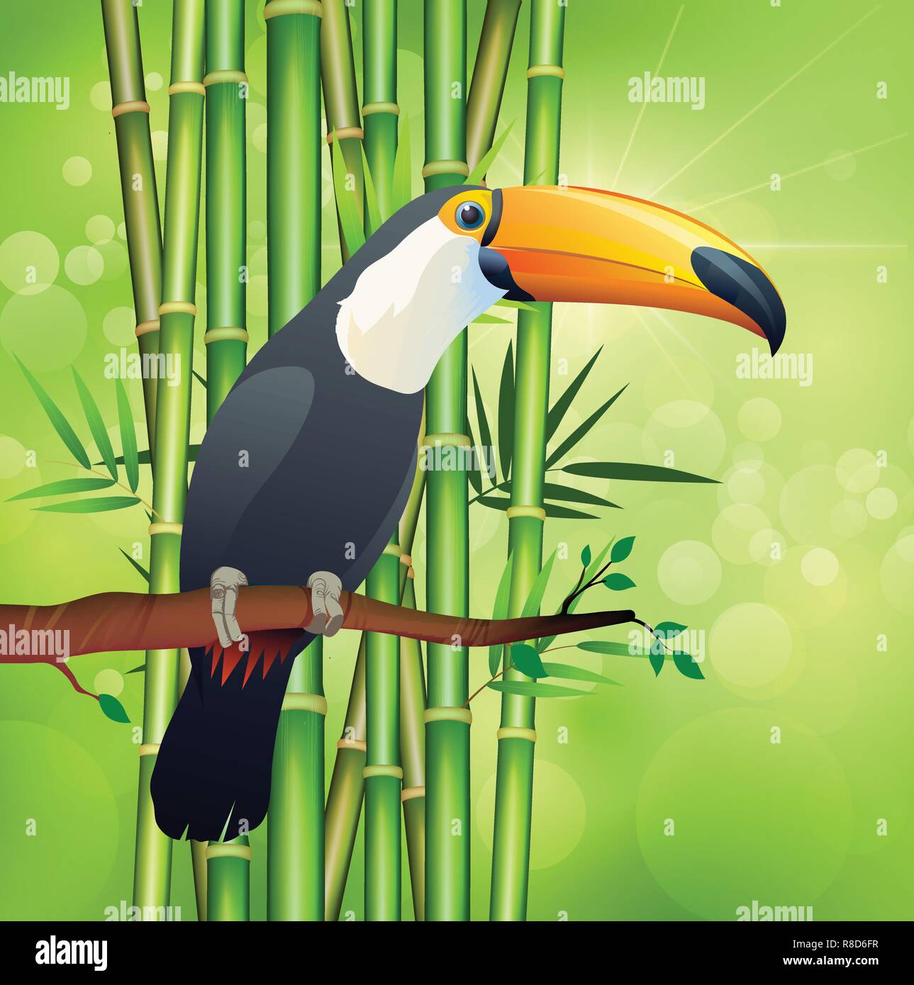 Toucan bird and green bamboo stems in flat design illustration. Stock Vector