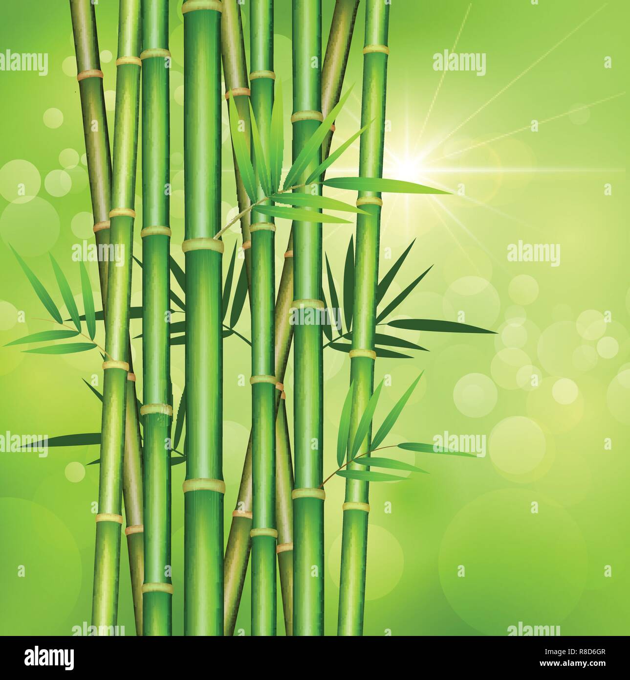 Bamboo stems in flat design illustration. Stock Vector