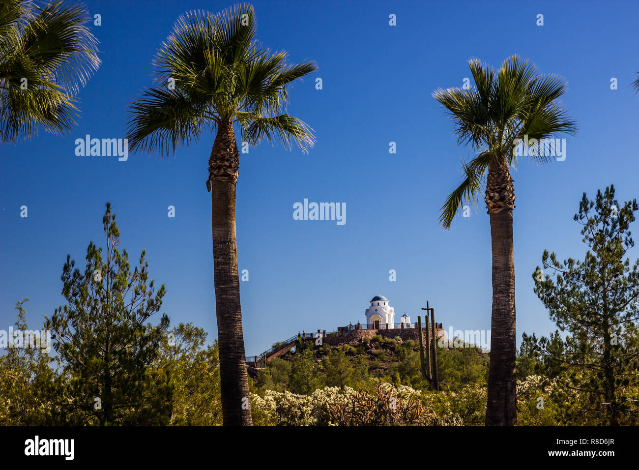 Palm Trees Framing Monastery Chapel In Desert Stock Photo Alamy