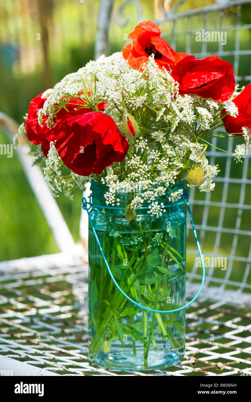 Red poppy flowers in a pot Stock Photo Alamy