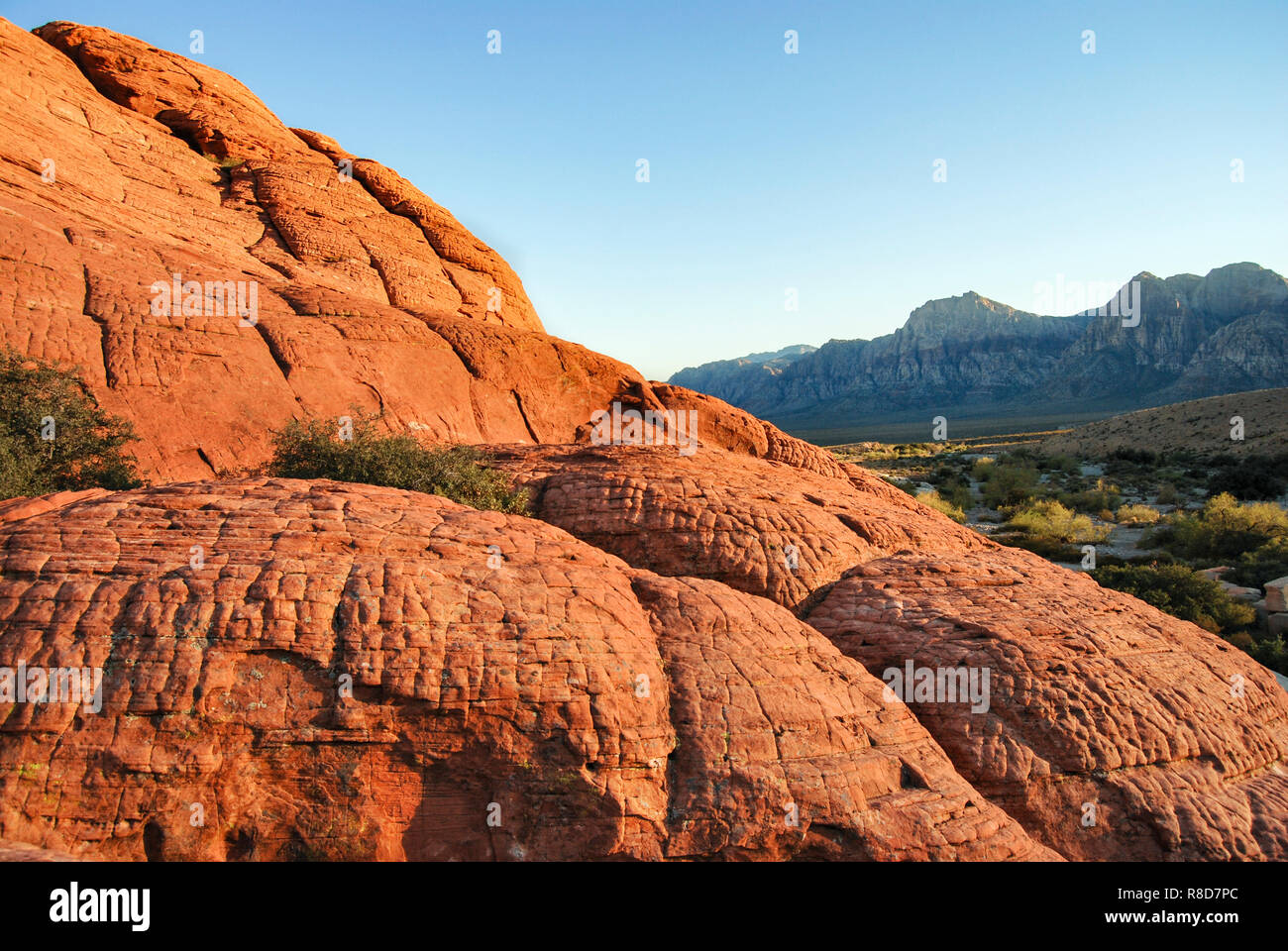 Red Rock Canyon, Nevada Stock Photo Alamy