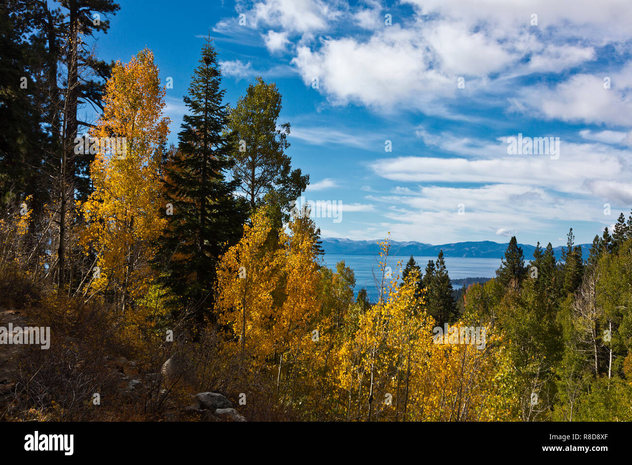 Fall colors in the Sierra Nevadas near Lake Tahoe - CALIFORNIA Stock Photo