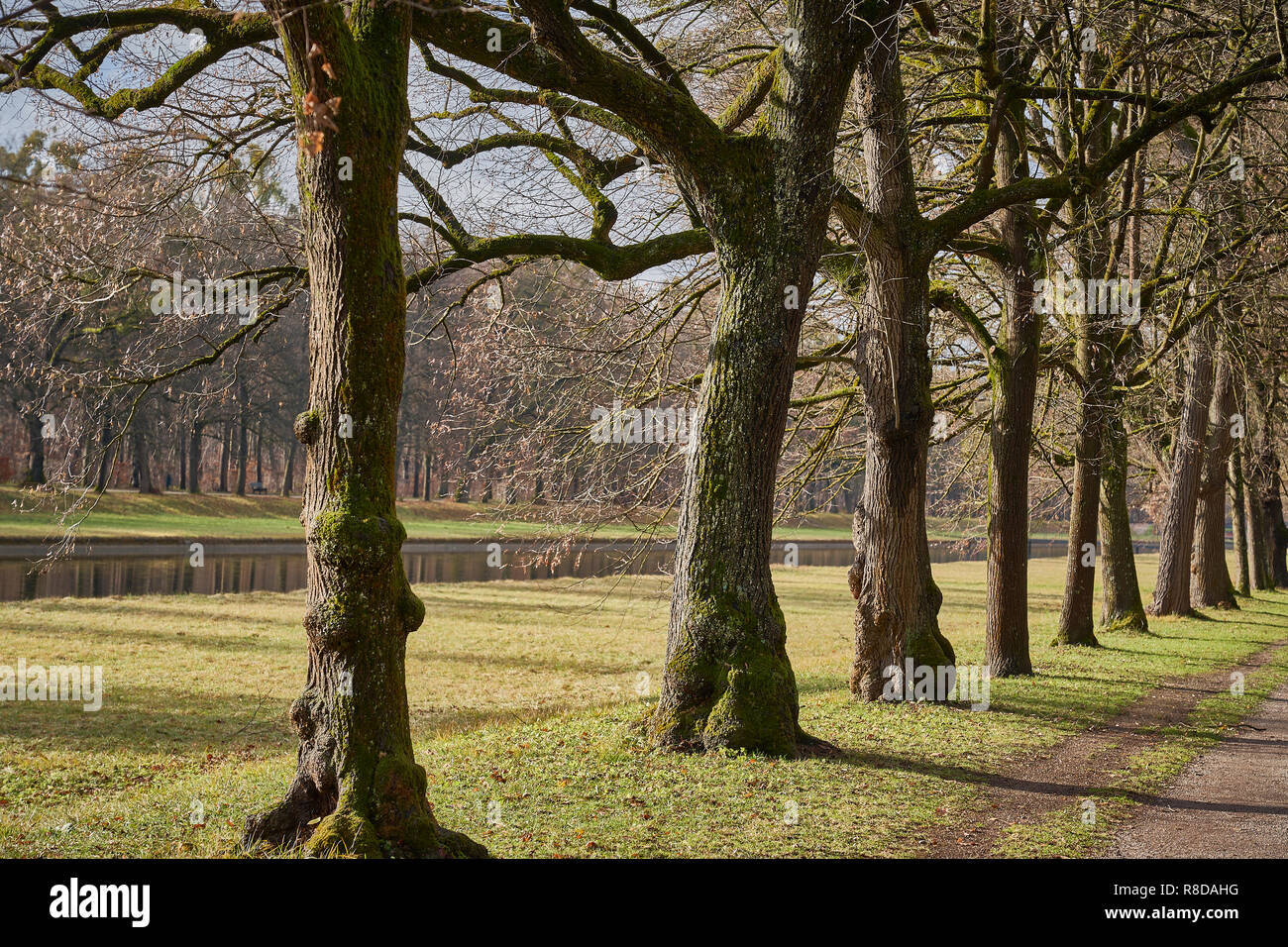 Alley along canal in park hi-res stock photography and images - Alamy