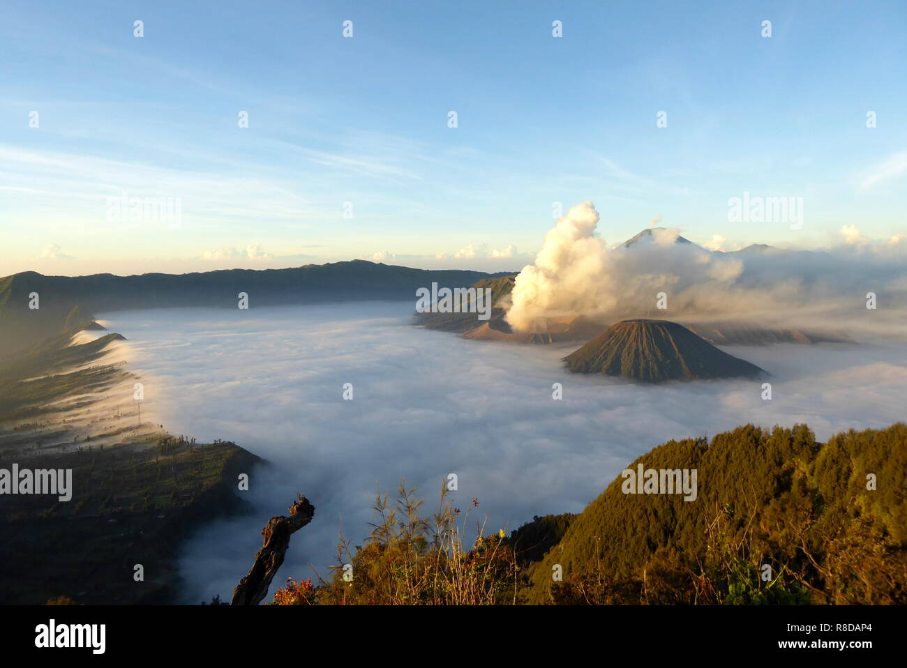 Volacano Java Active volcano Gunung Bromo on Java, Indonesia Stock Photo - Alamy