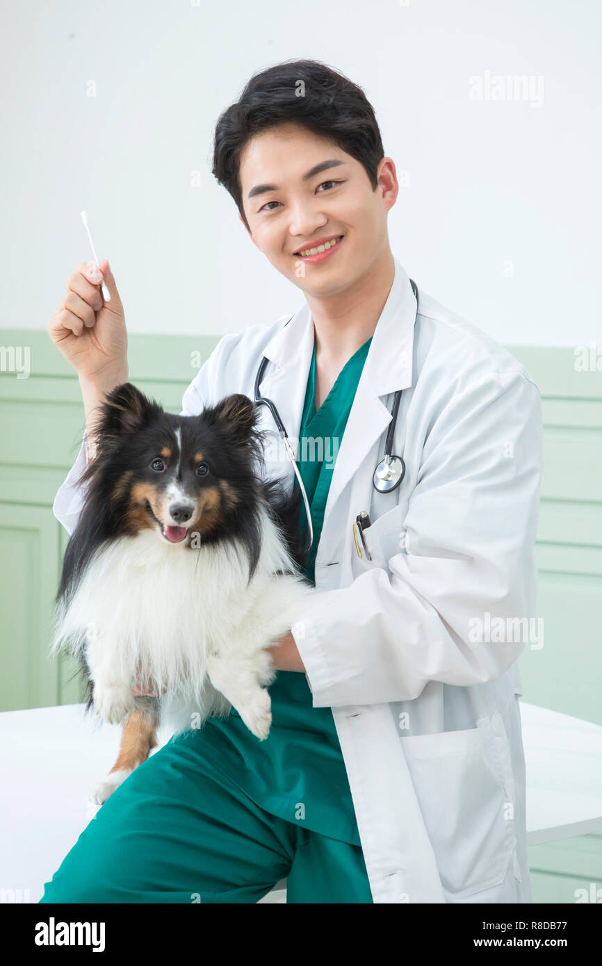Pet and animal's health care concept veterinarian doctor with