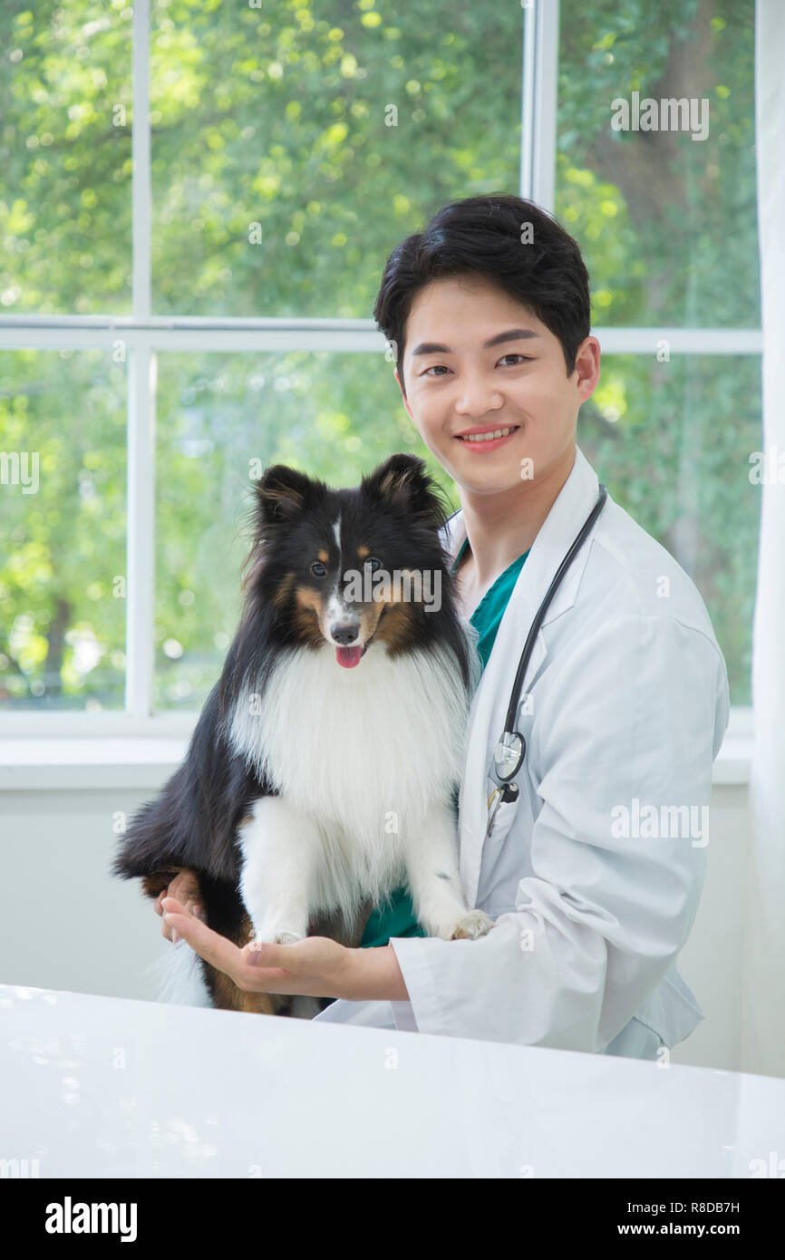 Pet and animal's health care concept veterinarian doctor with