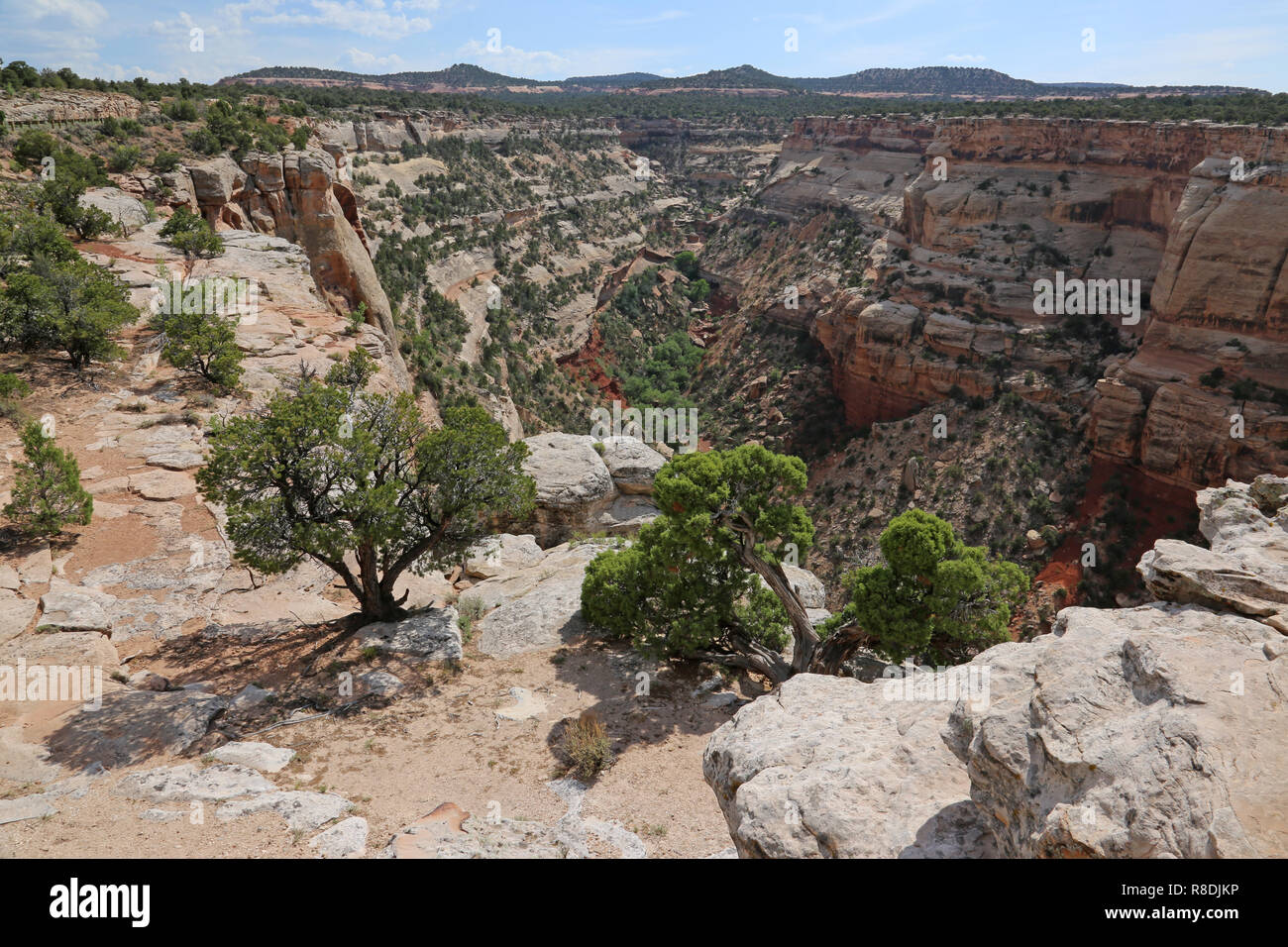 A canyon in the Colorado National Monument, in Mesa County, near Grand Junction, Colorado. Stock Photo