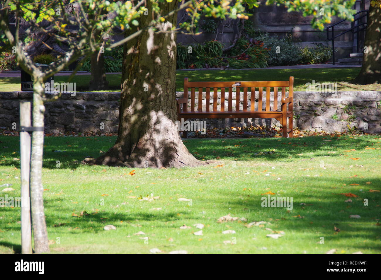 Wooden Bench on Aberdeen University Lawn on an Autumn Day. Old Aberdeen, Scotland, UK. Stock Photo