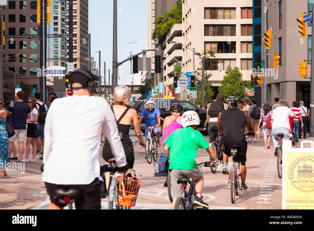 Cyclists using a bike lane on the Martin Goodman Trail that follows