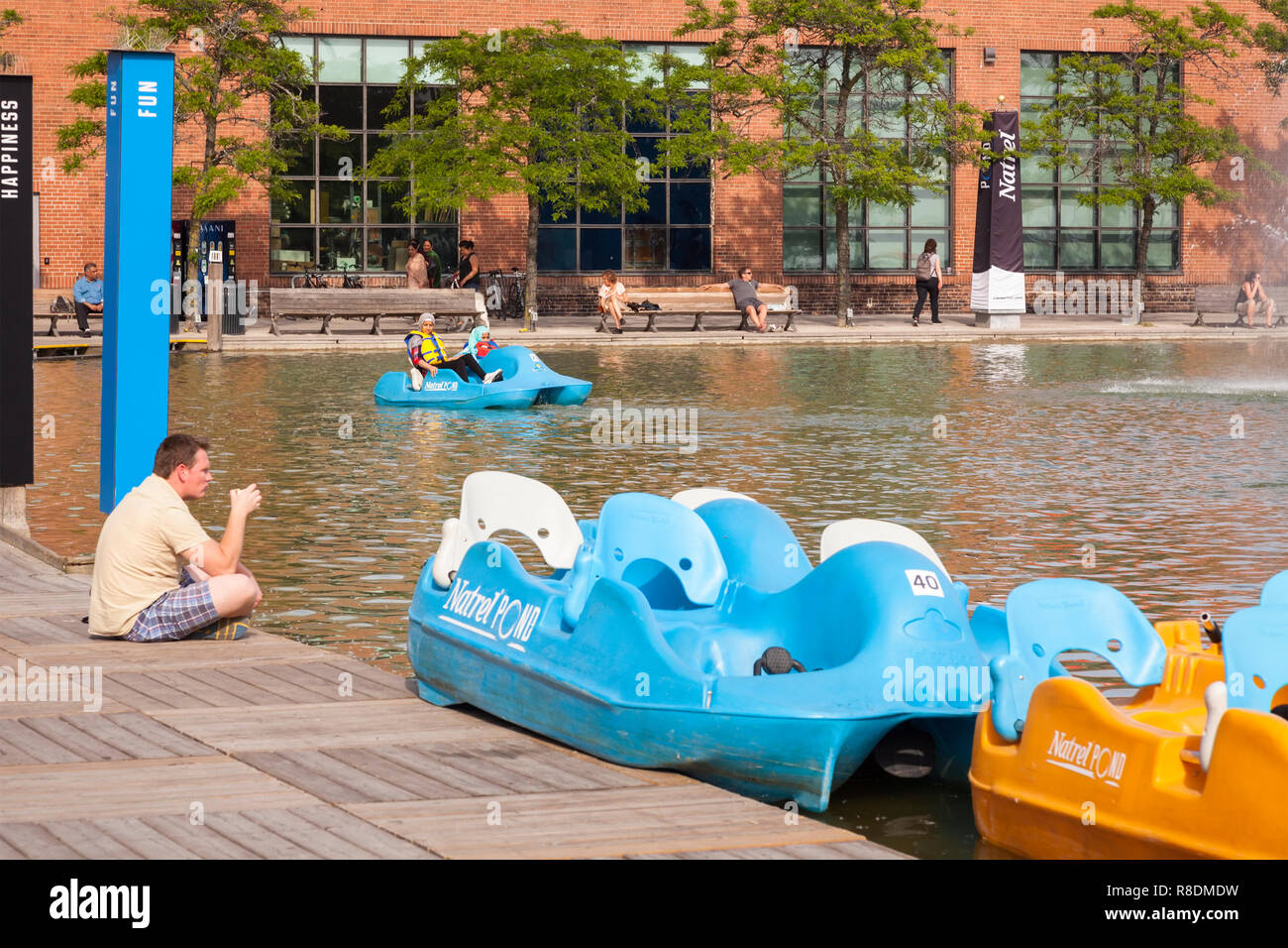 Pedalos or paddle boats on Natrel Pond at the Harbourfront Centre. City of Toronto, Ontario, Canada. Stock Photo