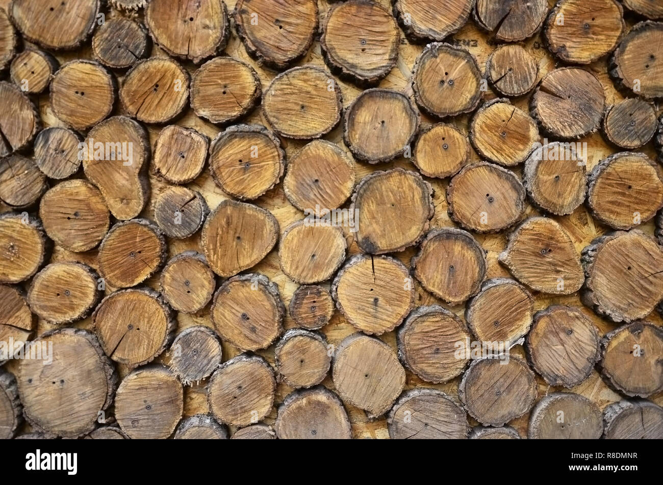 round wooden blocks
