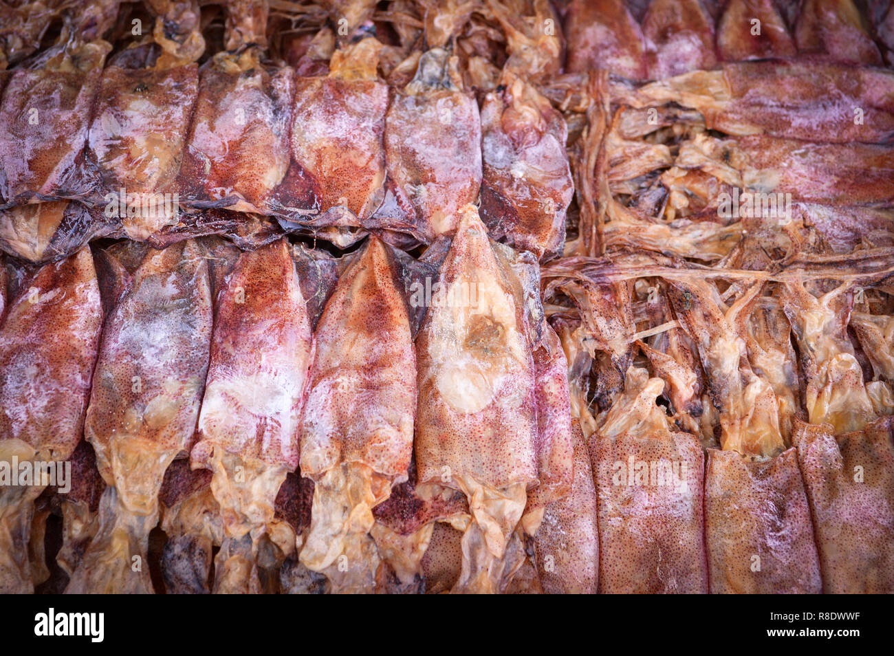 dried squid texture background / pile of dried squid for sale in the