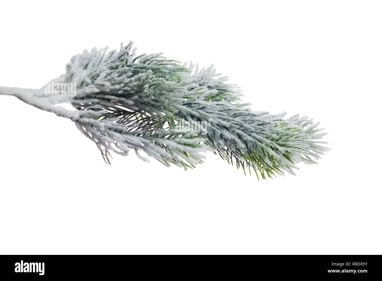 White Branchers Snow Pine Christmas Tree