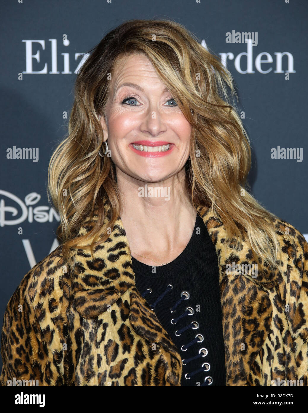 HOLLYWOOD, LOS ANGELES, CA, USA - FEBRUARY 26: Laura Dern at the World