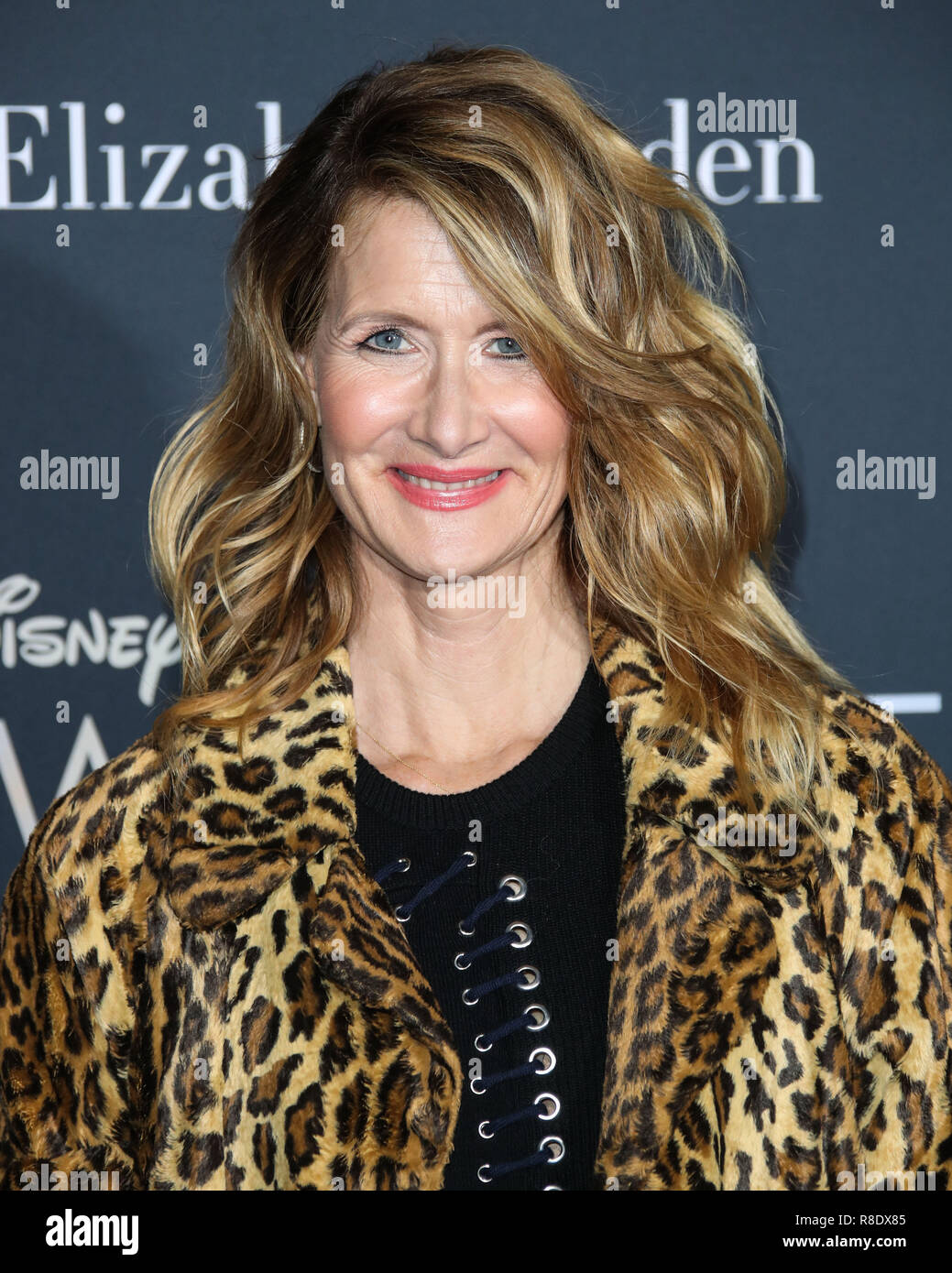 HOLLYWOOD, LOS ANGELES, CA, USA - FEBRUARY 26: Laura Dern at the World