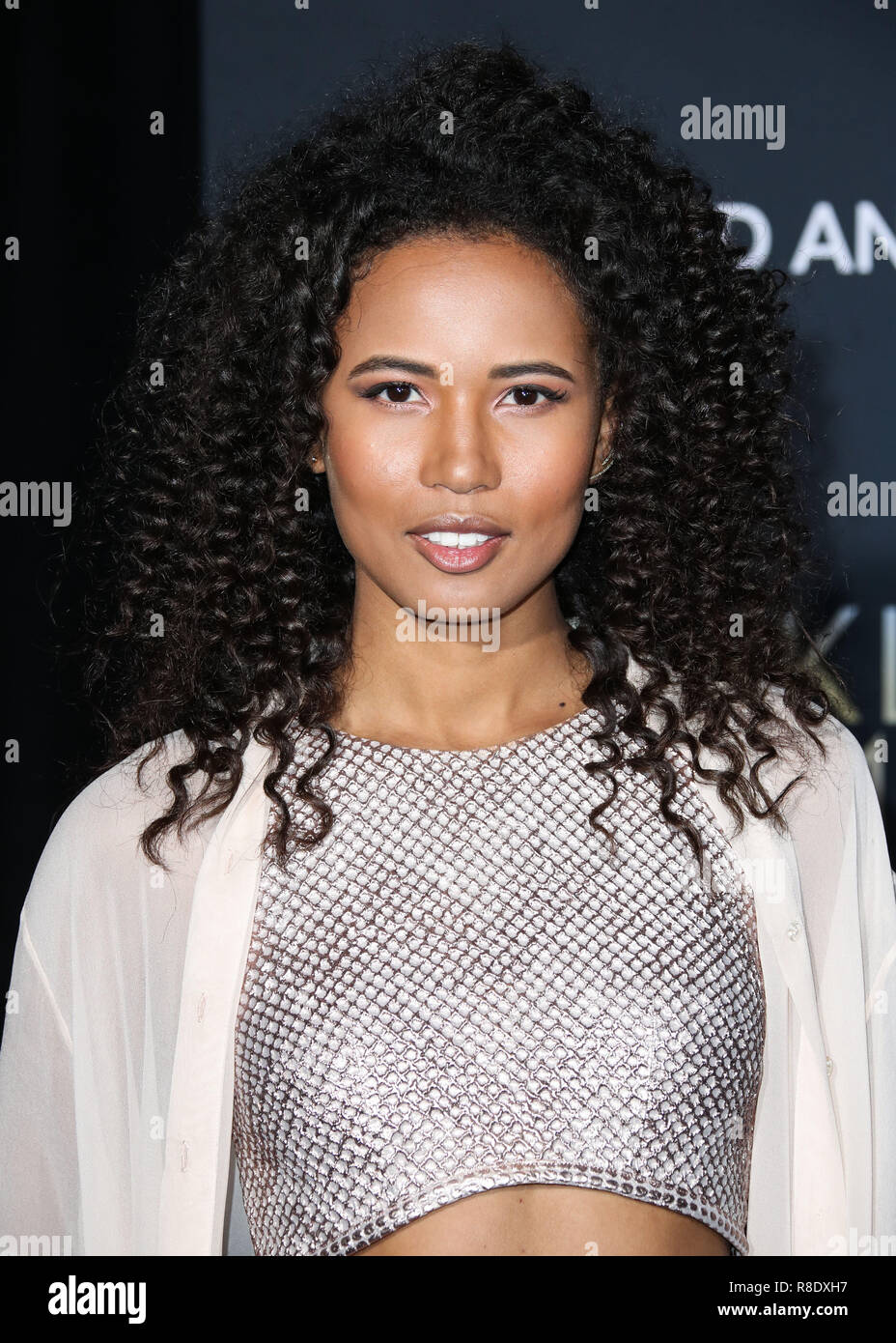 HOLLYWOOD, LOS ANGELES, CA, USA - FEBRUARY 26: Fola Evans-Akingbola at