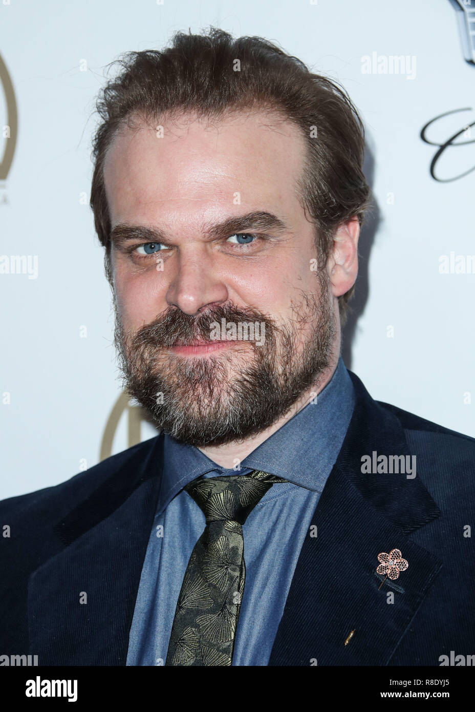 BEVERLY HILLS, LOS ANGELES, CA, USA - JANUARY 20: David Harbour at the 29th Annual Producers Guild Awards held at The Beverly Hilton Hotel on January 20, 2018 in Beverly Hills, Los Angeles, California, United States. (Photo by Xavier Collin/Image Press Agency) Stock Photo