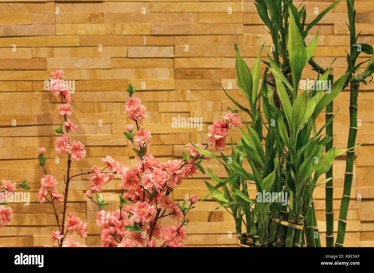 bamboo and pink flowers on brick wall background Stock Photo