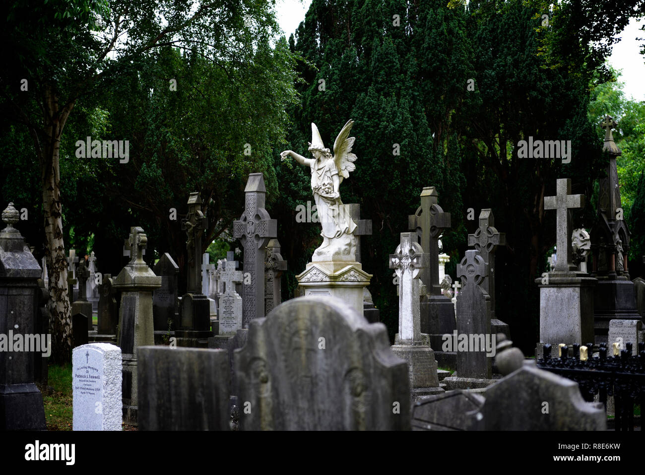 Glasnevin cemetery dublin,ornate,carved,headstones,angel statue,memorial,Headstone,tombstone,graveyard,graveyards,grave,graves,memory,memorial,peace,p Stock Photo