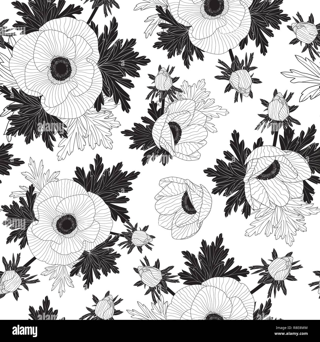 Anemone beautiful Stock Vector Images - Alamy