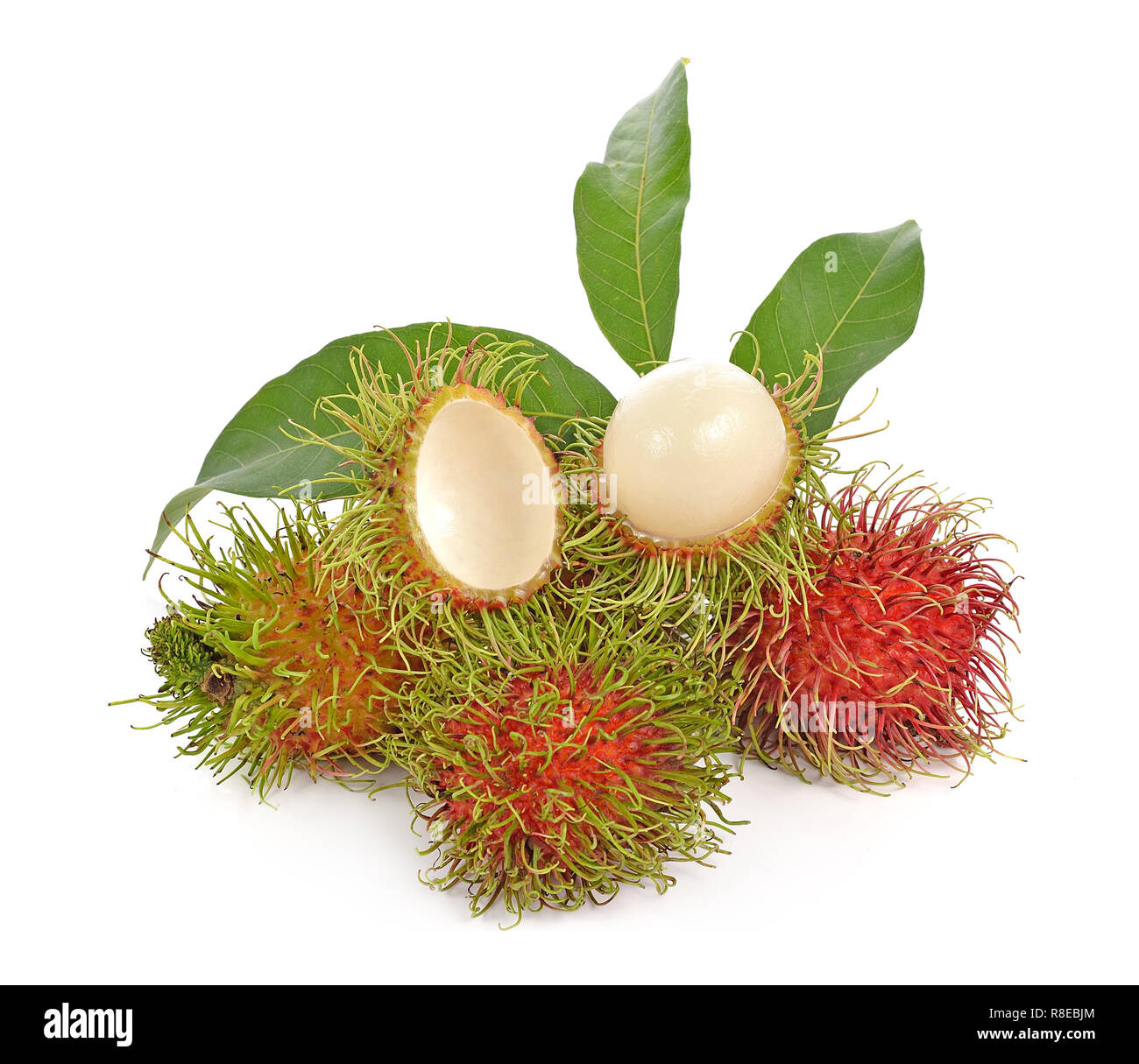 rambutan on white background Stock Photo - Alamy