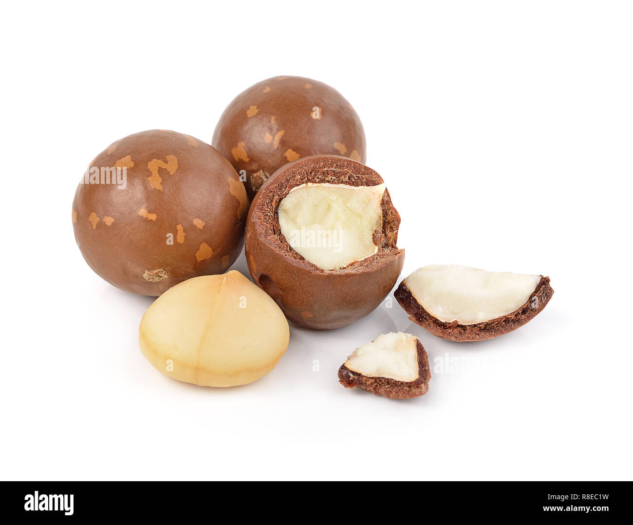 macadamia nuts isolated on white background Stock Photo