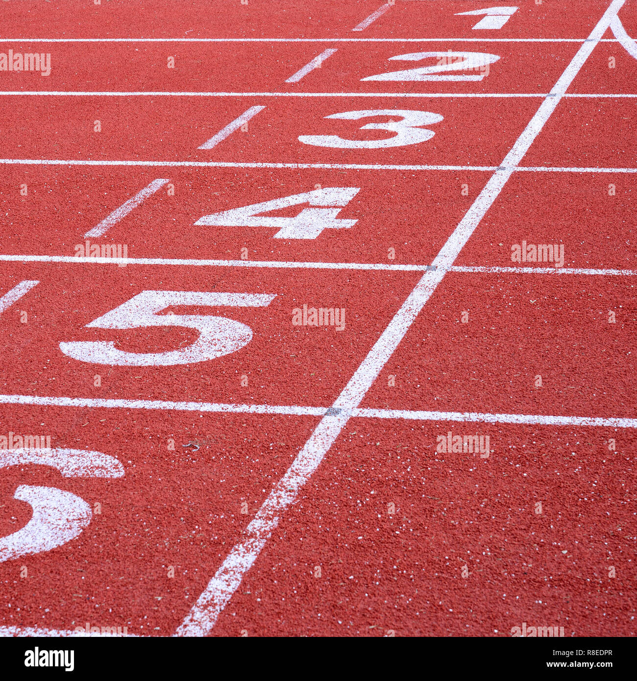 running-track-start-and-finish-line-stock-photo-alamy