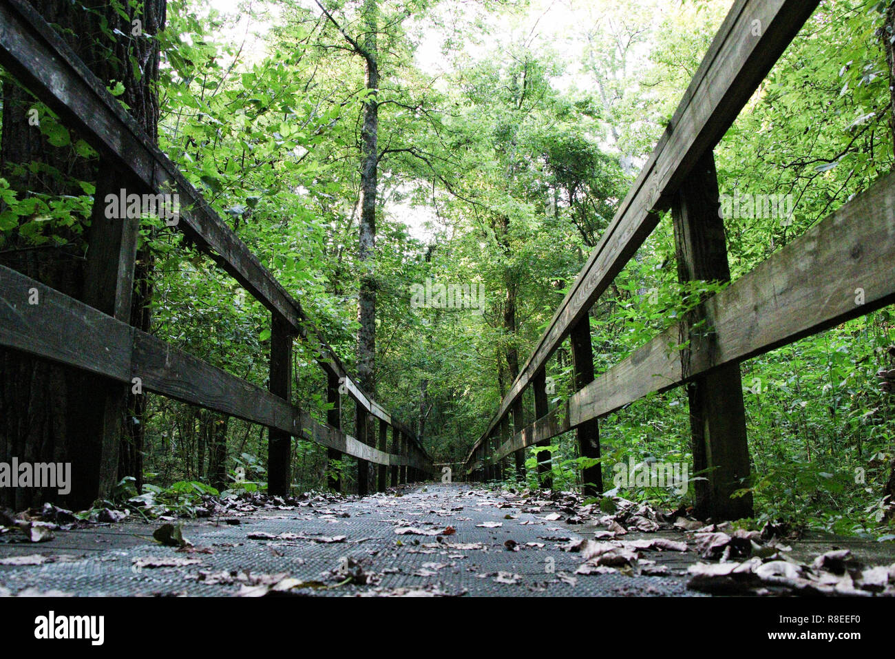 Natchez trace parkway bridge hi-res stock photography and images - Alamy