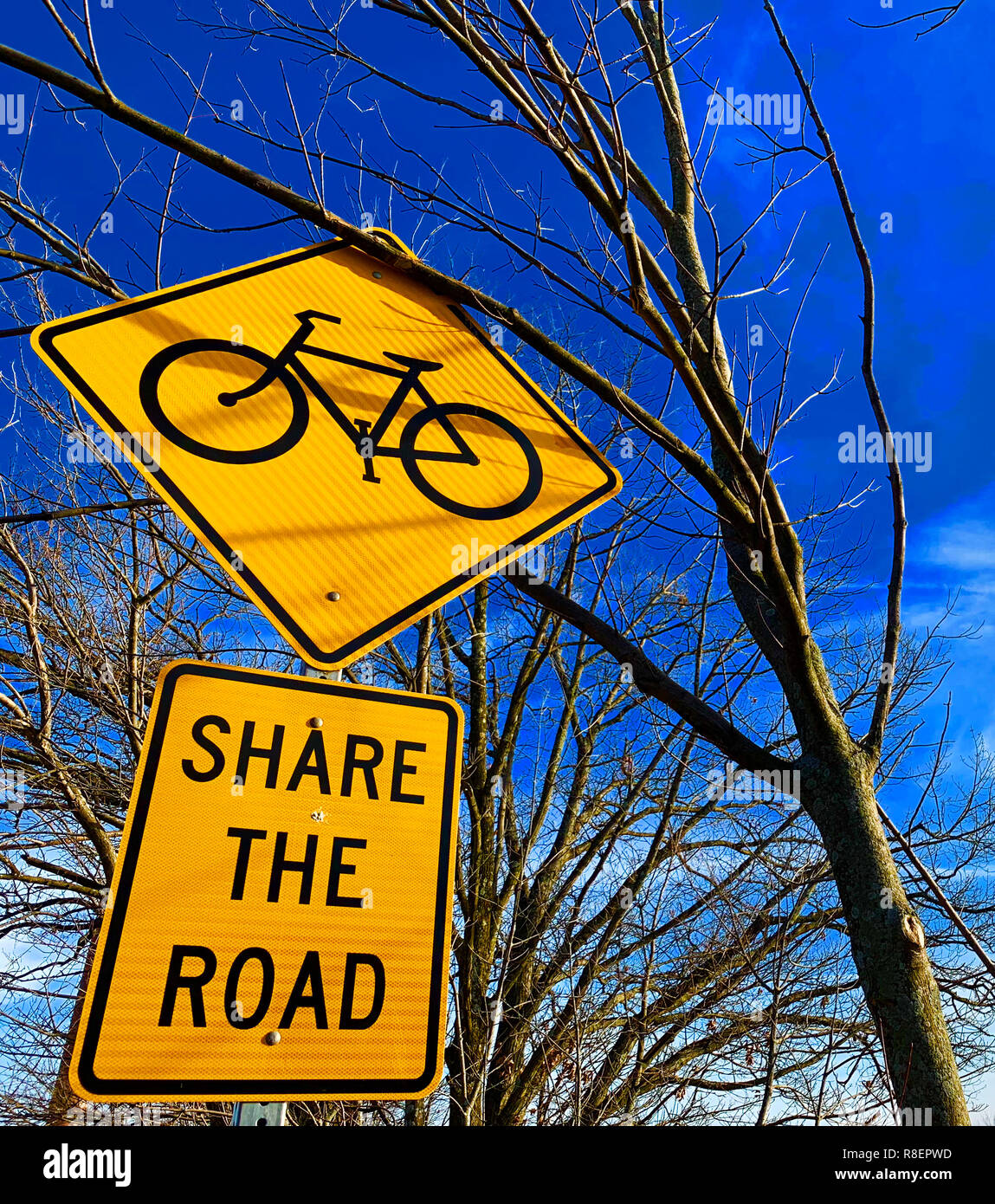 Share the Road Bike Sign with Tree Stock Photo - Alamy