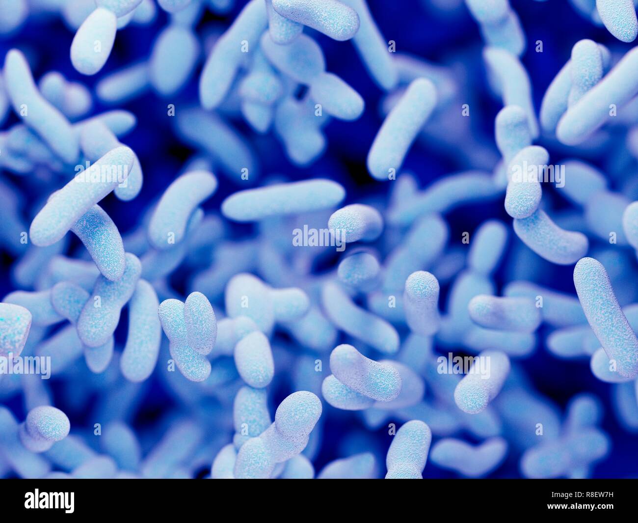 Illustration of bacteria Stock Photo - Alamy