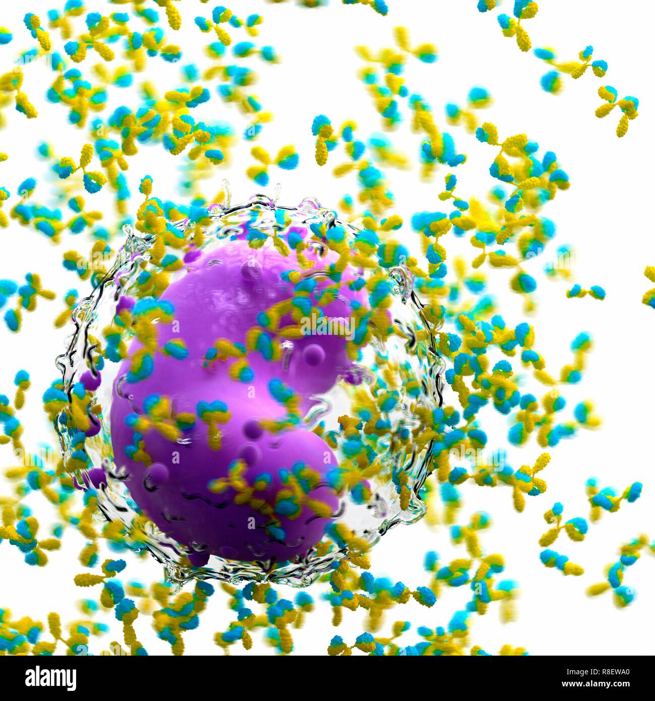 Illustration of a leucocyte and antibodies. Stock Photo