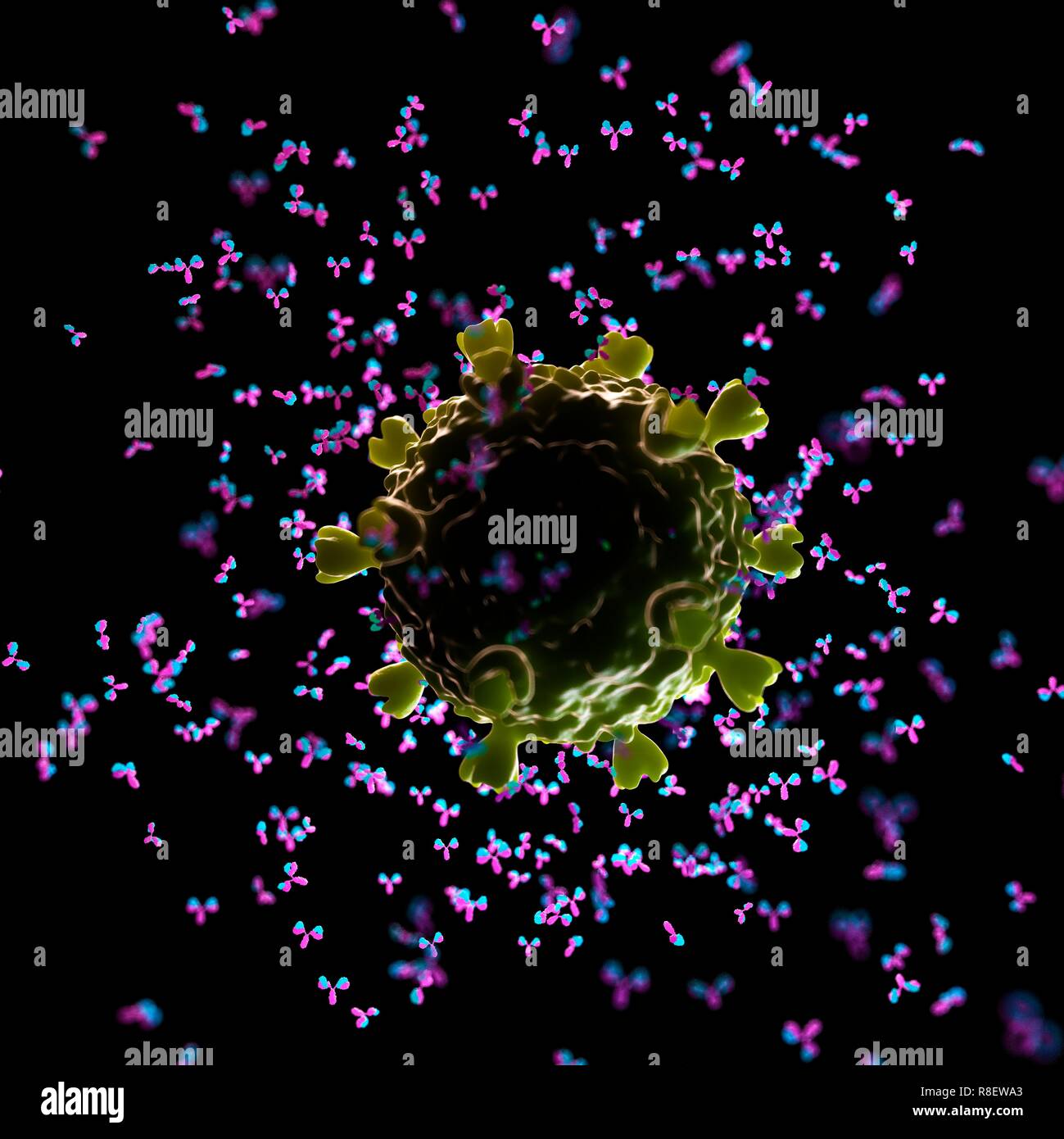 Illustration of antibodies attacking a HIV virus Stock Photo Alamy