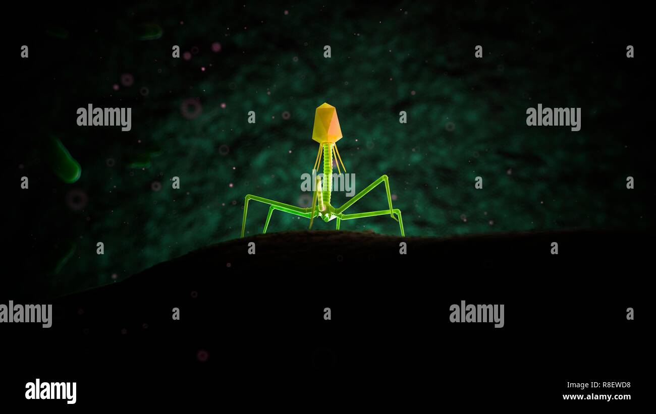 Illustration of bacteriophage Stock Photo - Alamy