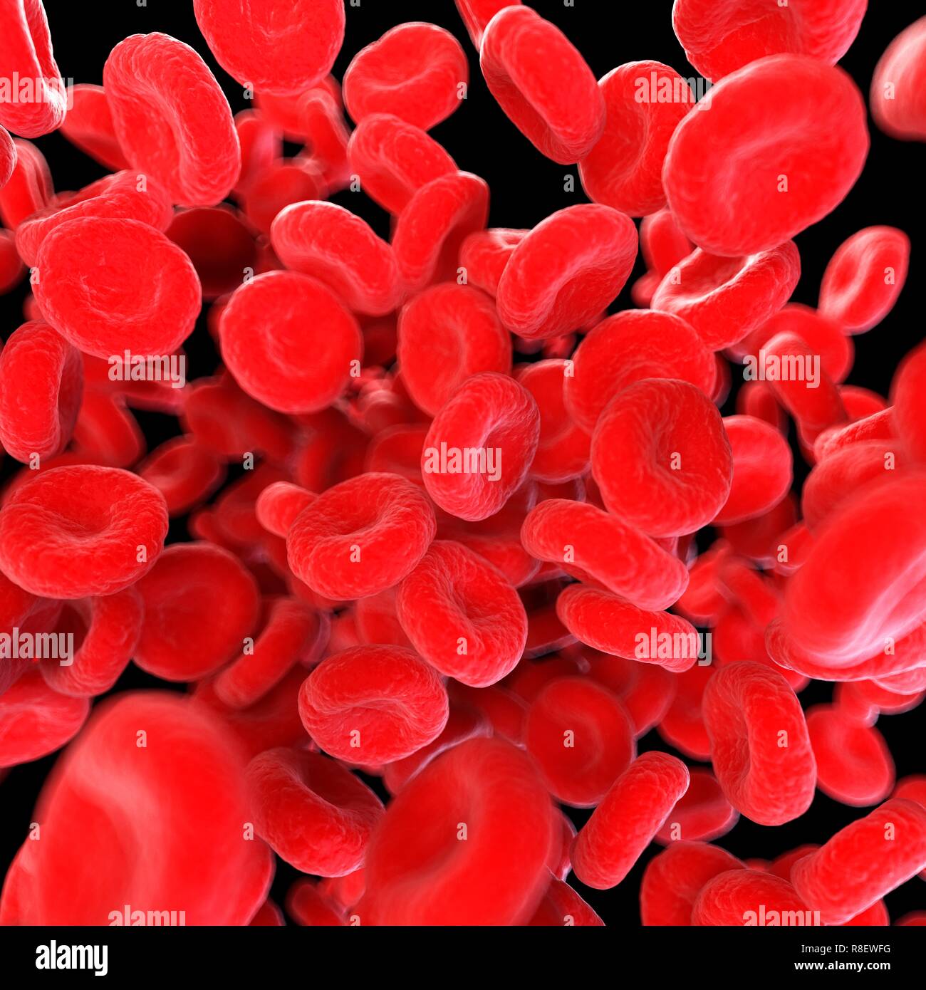 Illustration of human blood cells Stock Photo Alamy