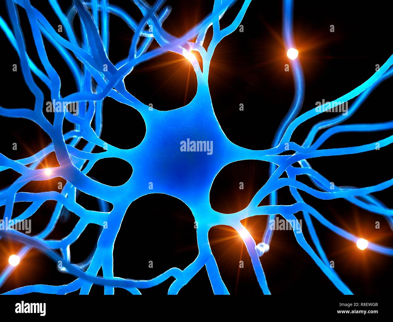 Human nerve cell hi-res stock photography and images - Alamy