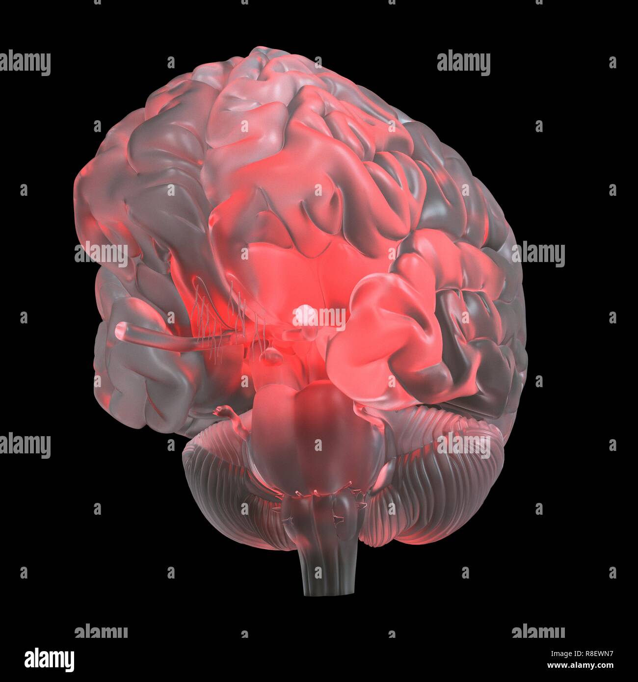 Illustration of a red glowing glass brain. Stock Photo